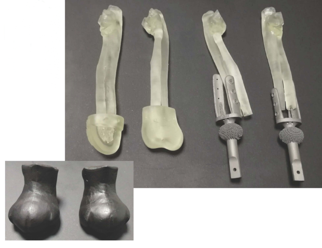 Application Story | Cat walks again thanks to 3D-printed Titanium Prosthetic Limbs Application Story | Cat walks again thanks to 3D-printed Titanium Prosthetic Limbs