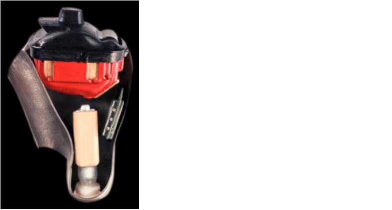 Titanium 3D Printed Cochlear Hearing Aids Titanium 3D Printed Cochlear Hearing Aids