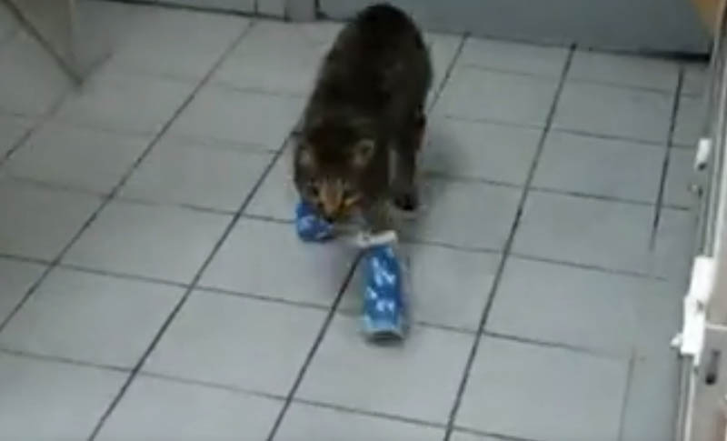 What Metal Material is More Suitable for Implants Printing?